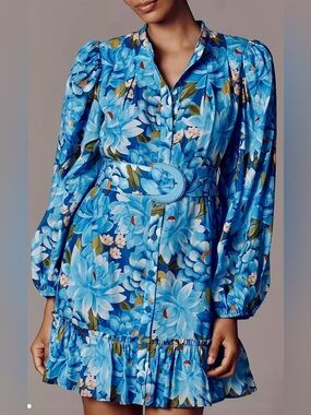 Farm Rio x Anthropologie Long-Sleeve Mini Swing Dress